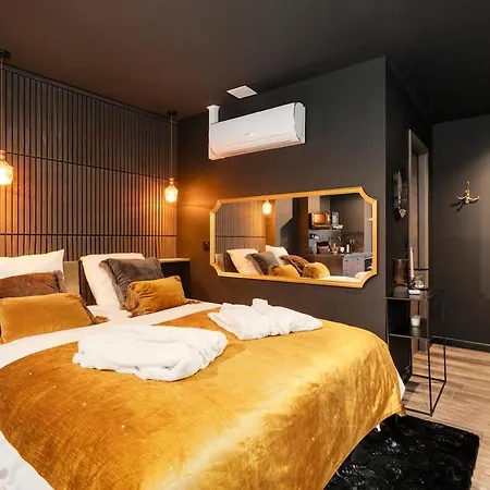 Apartament Encorps Nuit, Jacuzzi, Centre Gare Congres, Parking Nancy