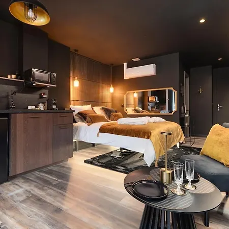 Apartament Encorps Nuit, Jacuzzi, Centre Gare Congres, Parking Nancy