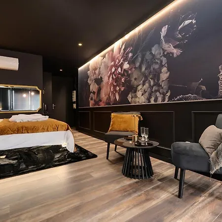 Apartament Encorps Nuit, Jacuzzi, Centre Gare Congres, Parking