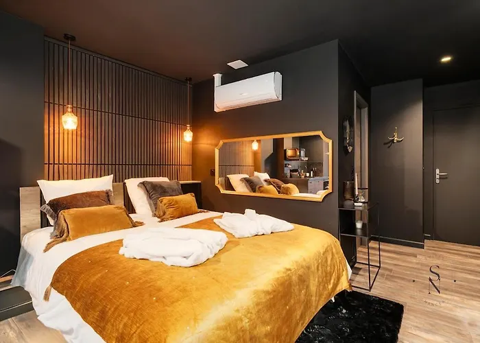 Apartamento Encorps Nuit, Jacuzzi, Centre Gare Congres, Parking Nancy