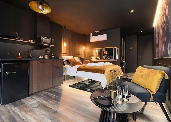 Apartamento Encorps Nuit, Jacuzzi, Centre Gare Congres, Parking Nancy