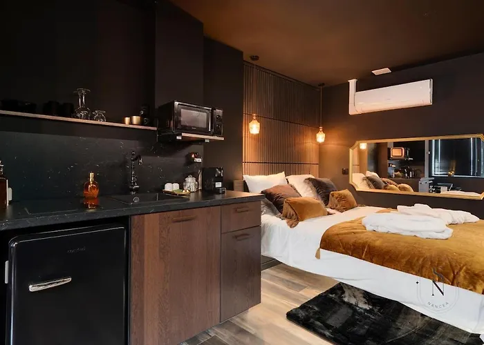 Encorps Nuit, Jacuzzi, Centre Gare Congres, Parking Apartamento Nancy